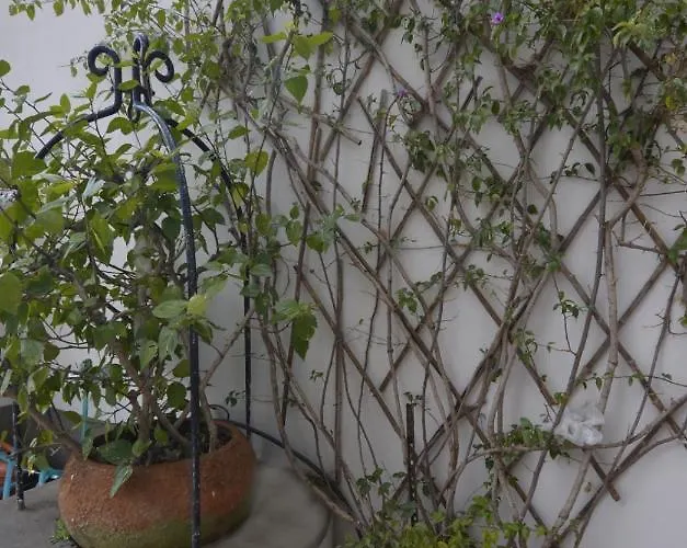 Villa Villino Prota, Ridente Con Panorama Mozzafiato *