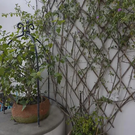 ヴィラ Villino Prota, Ridente Con Panorama Mozzafiato *